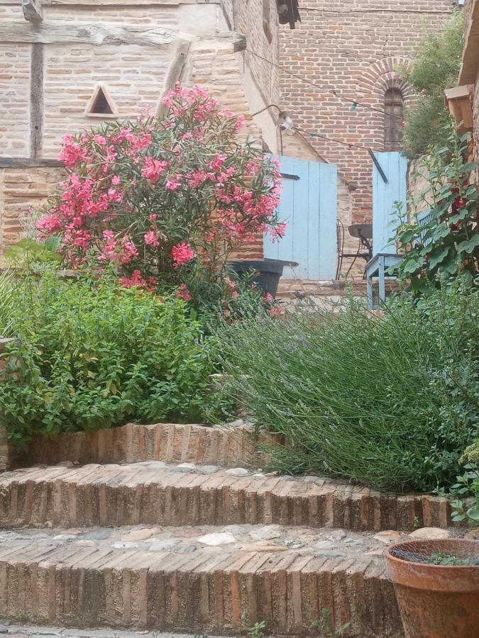 La Lauze Et L'Anguille Bed & Breakfast Gaillac Exterior photo