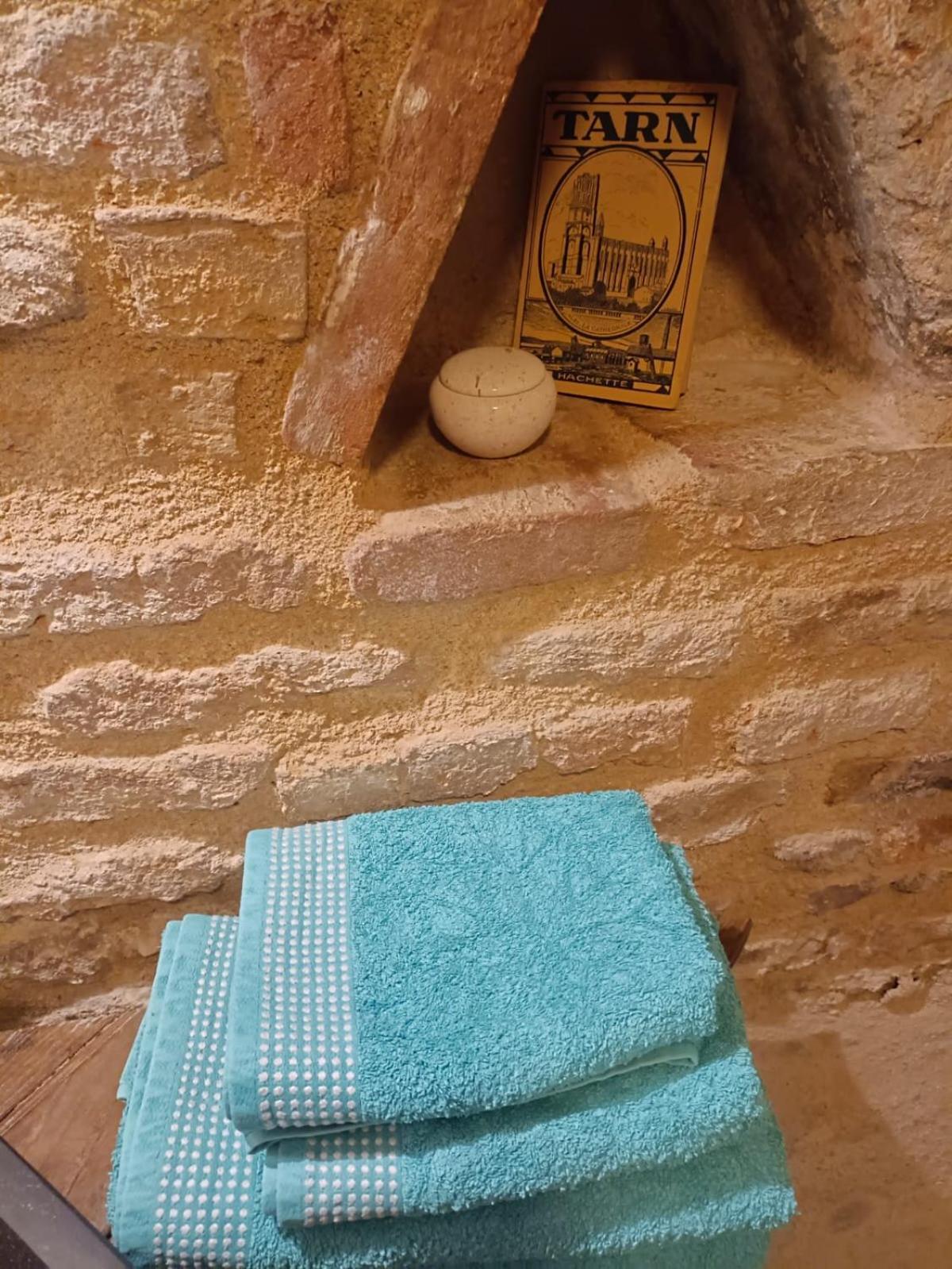 La Lauze Et L'Anguille Bed & Breakfast Gaillac Exterior photo